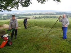 Freischneiden an der Lippoldlinde